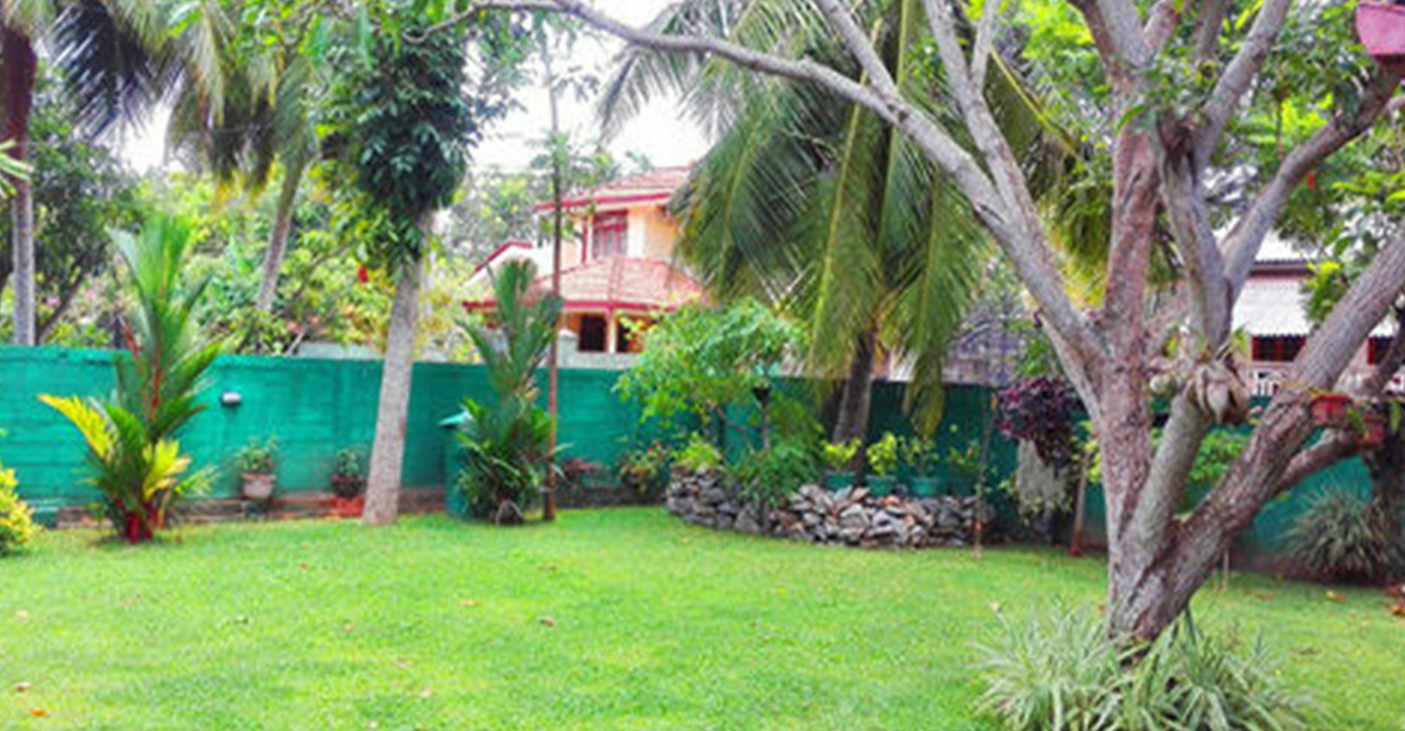 Bed and Breakfast House Of Seya Negombo Zewnętrze zdjęcie